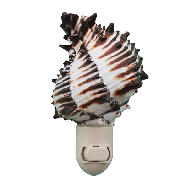 LADT ONE! NEW! Natural Black & White Murex Seashell Night Light - Picture 4 of 7